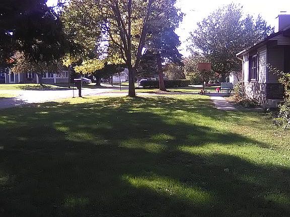 Large front yard
