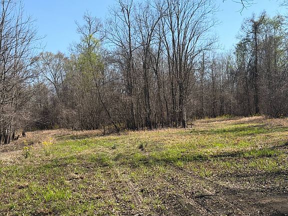 4th image of Misty Creek Rd