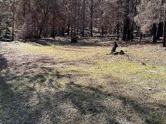 2nd image of 29103 Scott River Rd