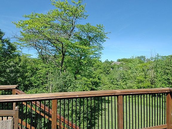 Backyard2