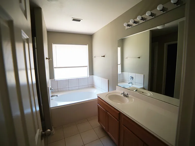 master bathroom bathtub