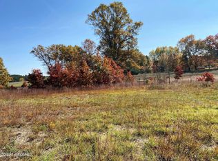 559 N Tulip Ave, White Cloud, MI 49349