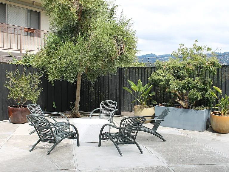Pet Friendly Courtyard