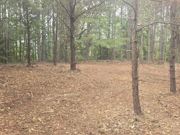 0 County Road 82 #1, Lawley, AL 36793