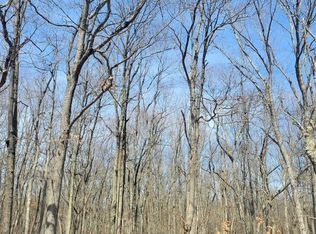 LOT B9 Behrens Rd, Jim Thorpe, PA 18229