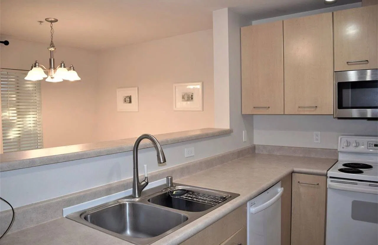 1 bed, 715 sqft, $1,950 — Photo 2