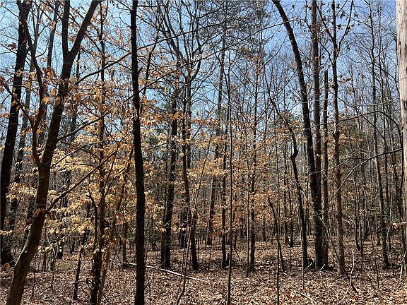 5th image of TRACT Cann Rd #B