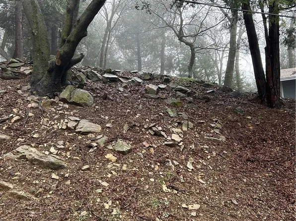 464 Shady Dell #2153, Crestline, CA 92325