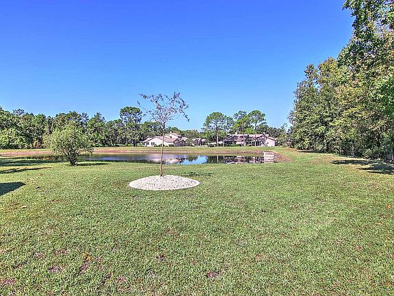 Pond behind house