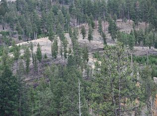 Nhn Medicine Springs Rd, Conner, MT 59827