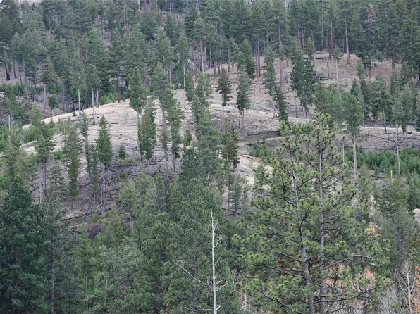 Nhn Medicine Springs Rd, Conner, MT 59827
