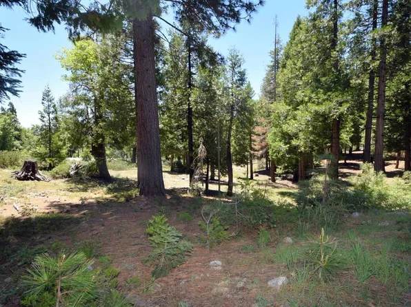 42436 Garnet Ln Unit 48, Shaver Lake, CA 93664