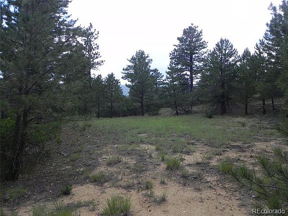 3rd image of 7074 Pasque Ct