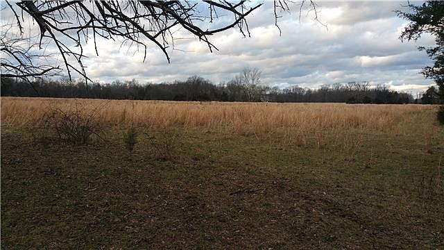 2nd image of 0 Stewarts Ferry Park