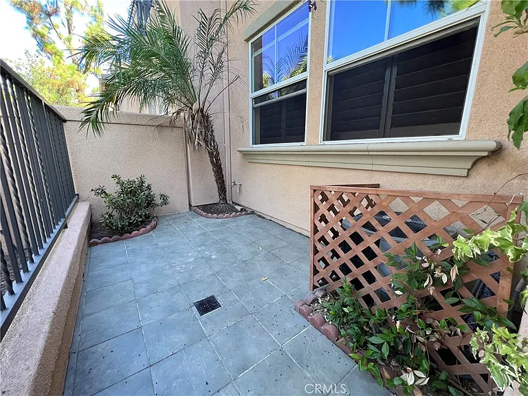 56 Trailing Vine — Photo 28