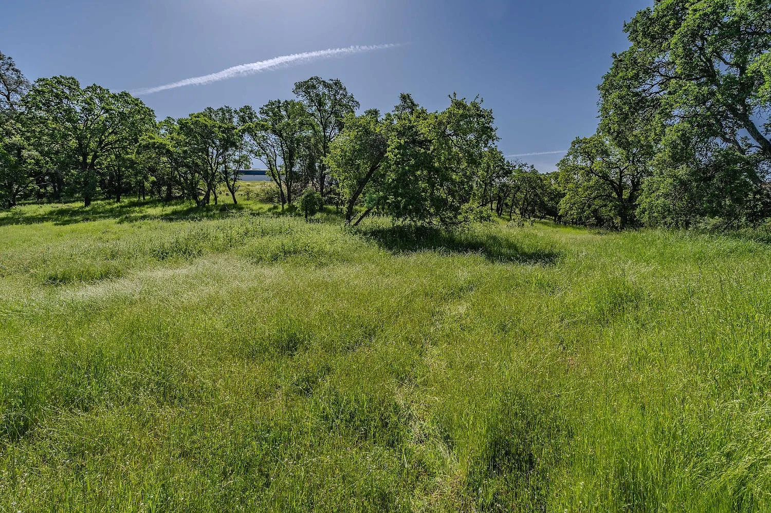 10851 Sunset Dr photo 1