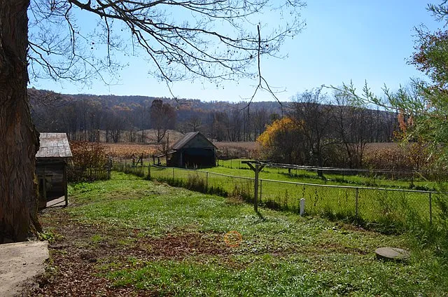 Property photo 5
