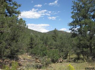 147 Alpine Way, Cotopaxi, CO 81223