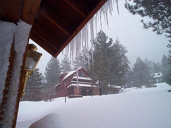 View out Rear Garage Door