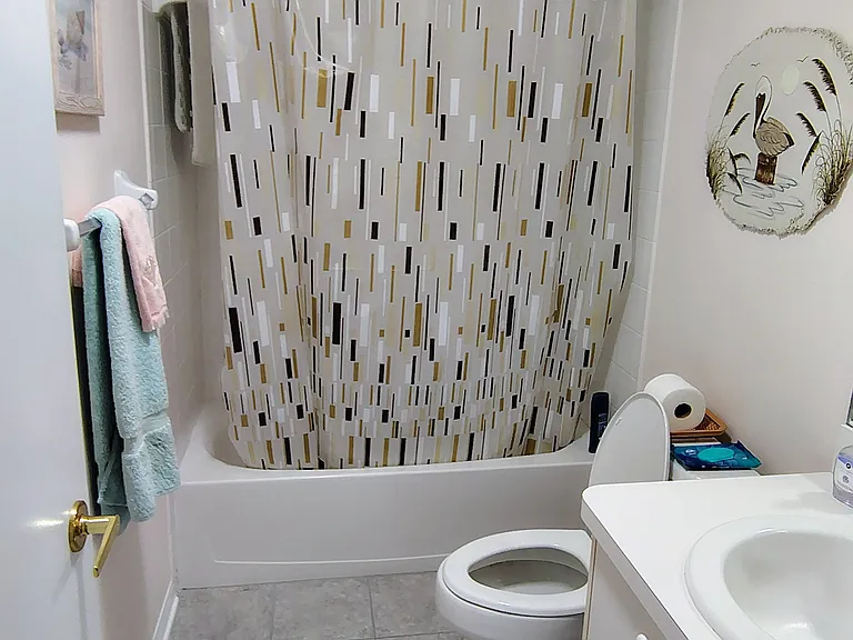 18620 Bent Pine Dr — Photo 10