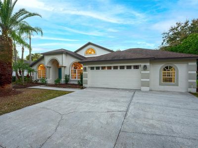 15014 Arbor Hollow Dr, Odessa, FL, 33556