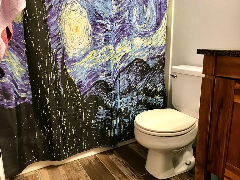 Shower + tub in large bathroom