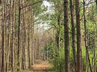 117 Springflower Dr, Carrollton, GA 30116