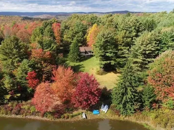 1565 Tupper Hill Rd, Franklin, NY 13775