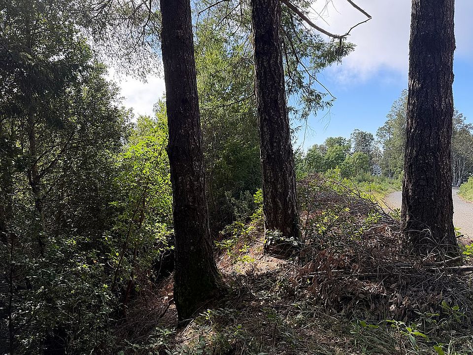 200 Forest Rd at Forest Road