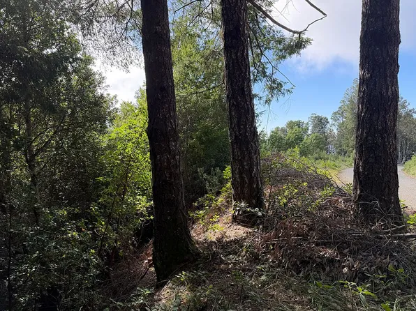 200 Forest Rd, Whitethorn, CA 95589