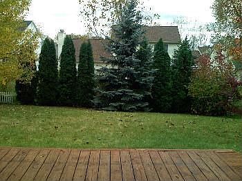3rd image of 2416 Tamarack Ct