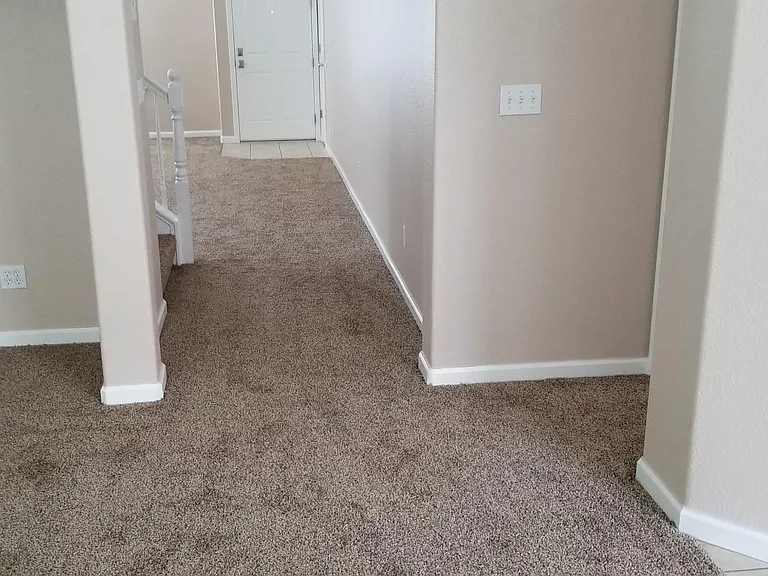 1153 Powell Ct — Photo 9