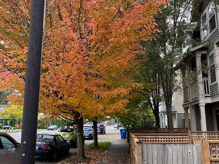 12719B Greenwood Ave N #B — Photo 36