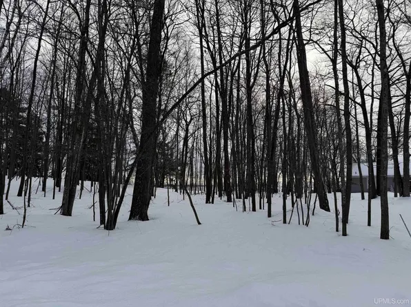 6 Caron .4 Dr, Gladstone, MI 49837