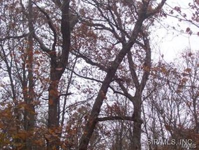 Spanish Needle Rd, Gillespie, IL, 62033
