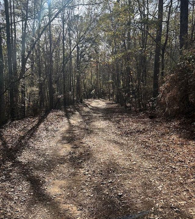 1st image of 298 County Road 358 #1