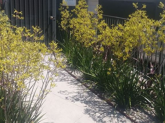 2nd image of 11746 Goshen Ave APT 06