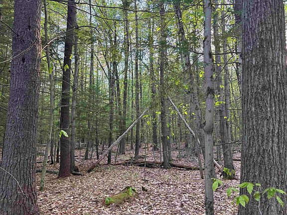 5th image of Lot 80 Currier Road