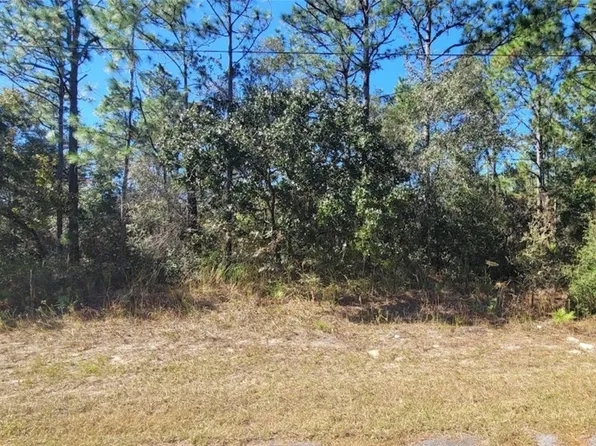 8622 N Empire Ave, Citrus Springs, FL 34433