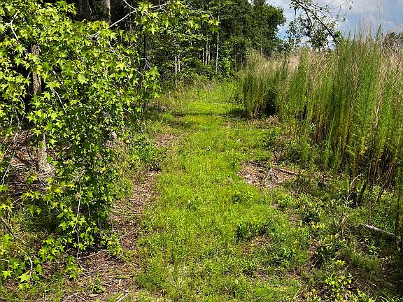 5th image of 0 Hendrix Bridge Rd
