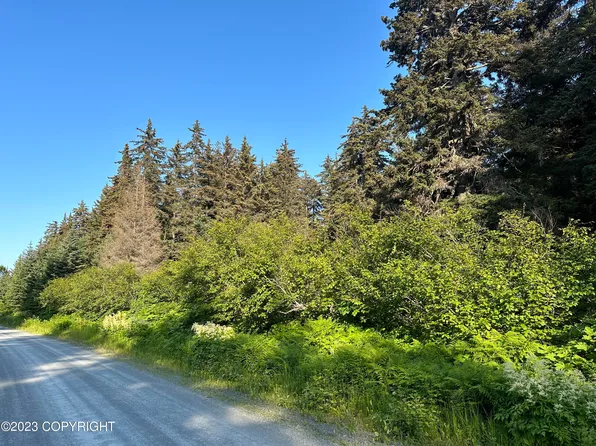 L8-B12 Nutbeem Rd, Seldovia, AK 99663