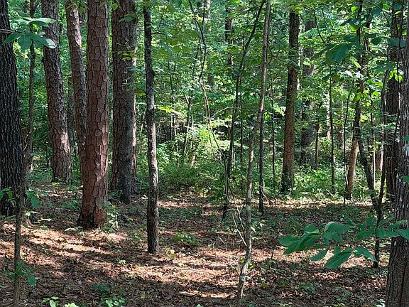 4th image of 16 & 17 Ellen Ln