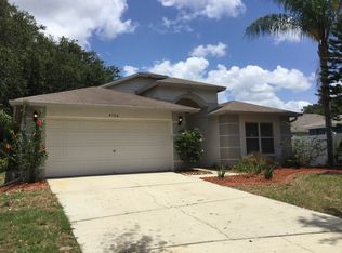 4706 Dragon Tail Ct, Valrico, FL 33594