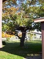 2nd image of 66 Kincheloe Dr