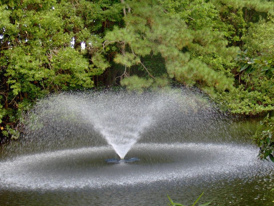 1st image of 564 Chapel Lake Dr APT 301