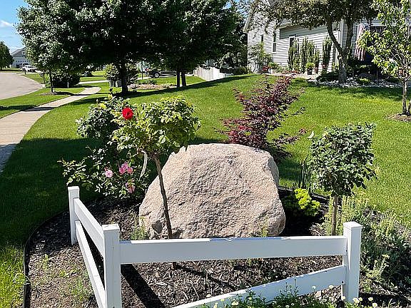 Professionally Landscapeed