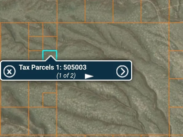 T31n R48e Sec 29 Ne4se4ne4, Crescent Valley, NV 89821