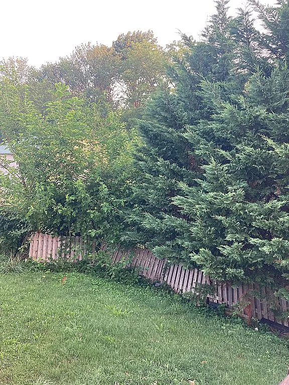 15 Hershey Ave #A photo 1