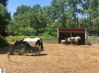 621 S Weldon Rd, Beulah, MI 49617