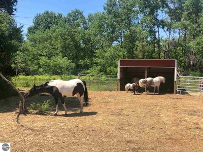 621 S Weldon Rd, Beulah, MI, 49617